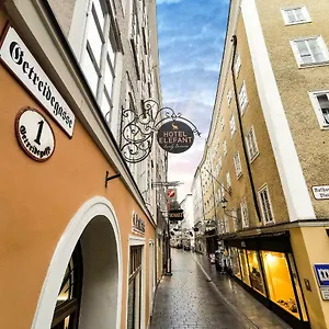 2* Otel Elefant Family Business
